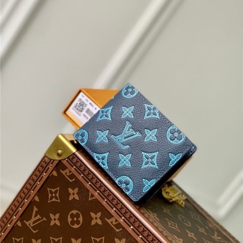 VÍ LOUIS VUITTON multiple wallet