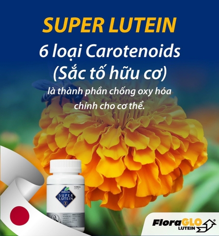 SUPER LUTEIN 100 viên Nhật Bản