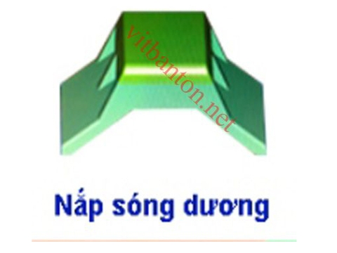 NẮP VÍT SÓNG DƯƠNG