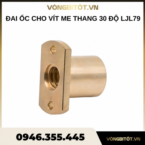 Đai ốc cho vít me thang 30 độ LJL79