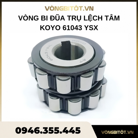 Vòng bi lệch tâm KOYO 61043 YSX