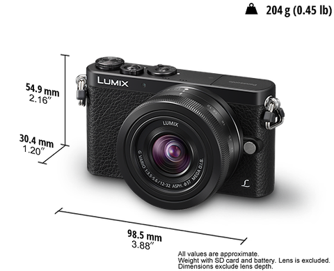 Panasonic Lumix DMC-GM1 body