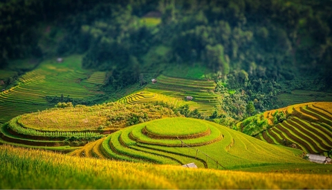 Terraced fields