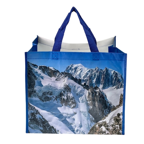 Custom Sizes and Design Woven PP Food Storage Bag
