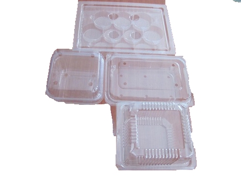 Plastic tray