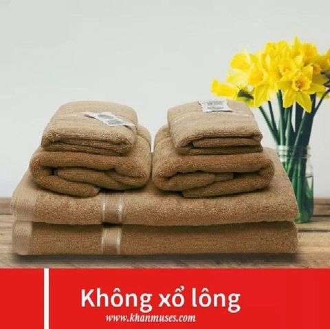 Bộ 6 khăn cotton cao cấp màu nâu