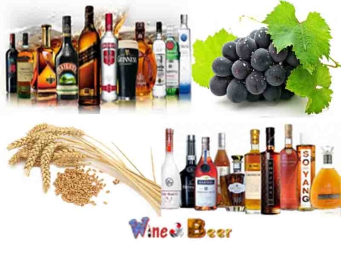 Kiến Thức Căn Bản Về Rượu