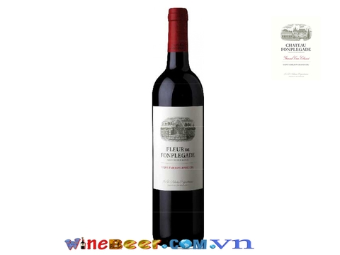 Rượu vang Pháp Chateau Fonplegade | rượu vang cao cấp