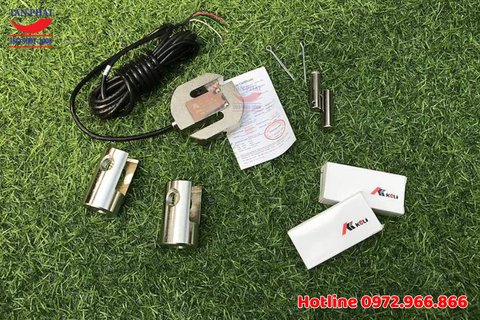 Loadcell Chữ S PST 200kg