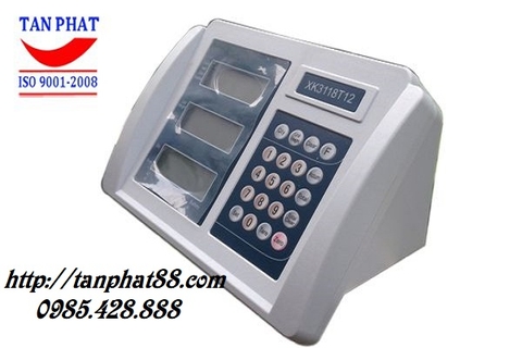Đầu cân XK3118T12
