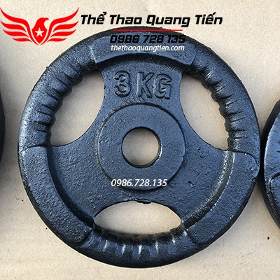 Tạ bánh gang 3 kg, miếng tạ gang 3 kg , đĩa tạ gang 3kg 3 cánh QT08