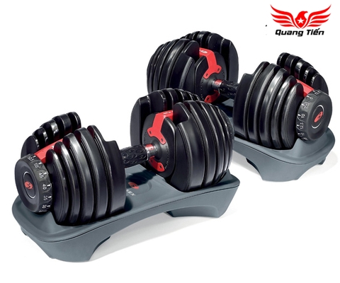 Bộ Tạ tay Bowflex 552 ( giá 2 chiếc )
