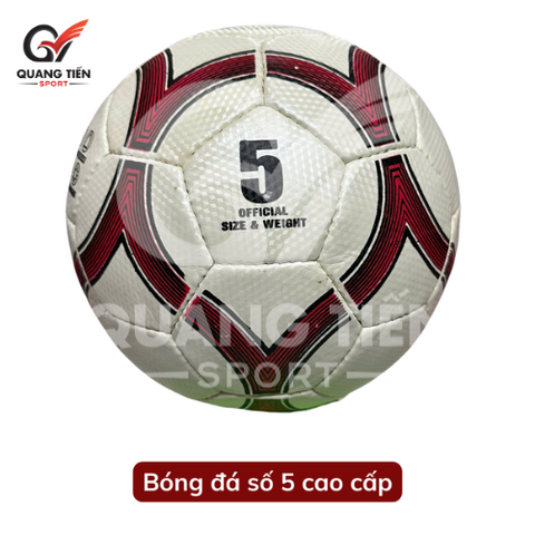 Quả bóng đá số 5 cao cấp ( tặng kèm kim bơm và lưới đựng bóng )