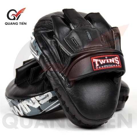 ĐÍCH ĐẤM TWINS PML10 FOCUS MITTS