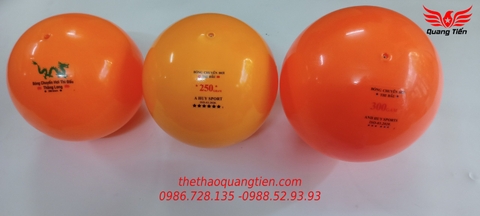 Bóng chuyền hơi loại đẹp 200g 250g 300g