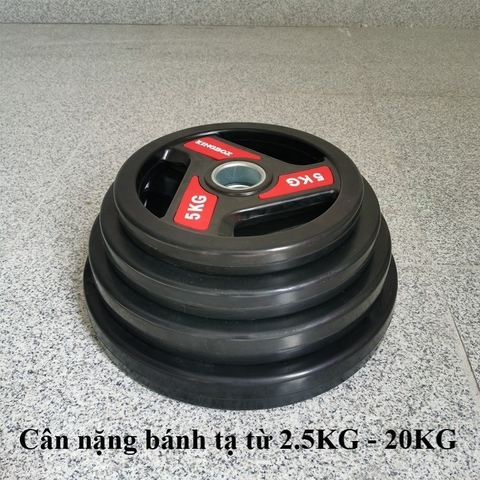 Bánh tạ đĩa KINGBOX chất liệu gang, bọc cao su phi 50mm