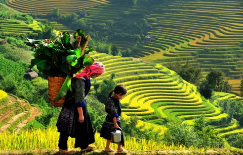 Hà Nội - Sapa - Lao  Chải - Tả Van - Bãi Đá Cổ - Hà Nội 3 ngày 2 đêm