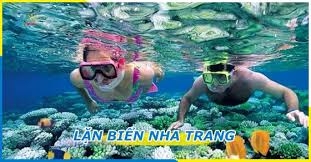 Hà Nội – Nha Trang Biển Xanh Cát Trắng  - Hà Nội