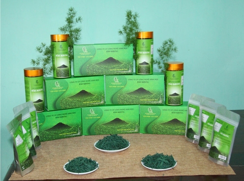Tảo Spirulina khô Bảo Khang