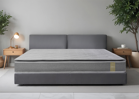 Đệm bông ép TOP PLUS - New