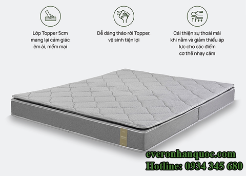 Đệm bông ép TOP PLUS - New