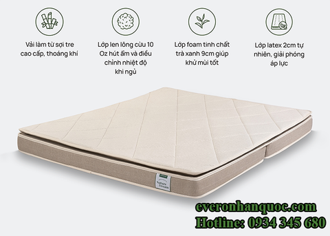 Đệm foam Artemis Nature Dream Original