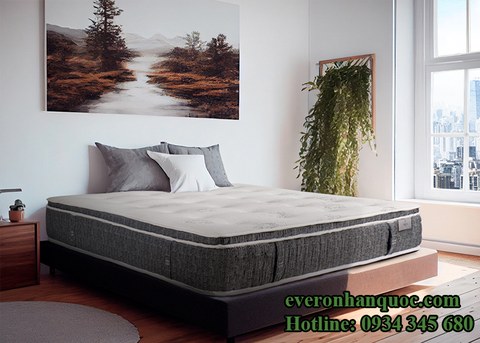 Đệm lò xo ARISE LUX