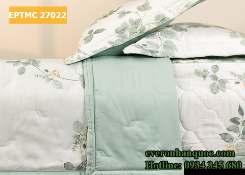 Bộ chăn ga gối Everon EPTMC 27022