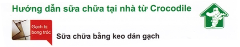 Hướng dẫn sửa chữa gạch bằng keo dán gạch và chống thấm cá sấu Crocodile