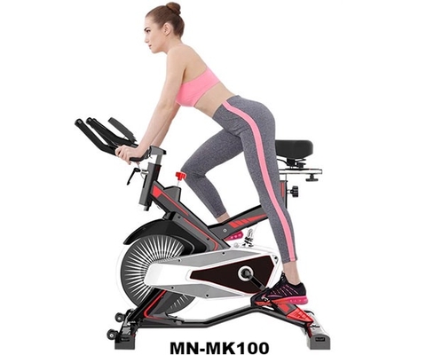 Xe đạp tập thể dục Fuji Luxury MK-100