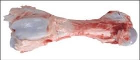 xương  ống lợn
