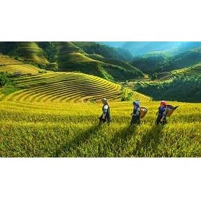 Tour Du Lịch Tây Bắc 5 Ngày 4 Đêm