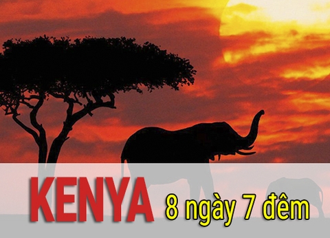 Tour Du Lịch Kenya 8 Ngày 7 Đêm