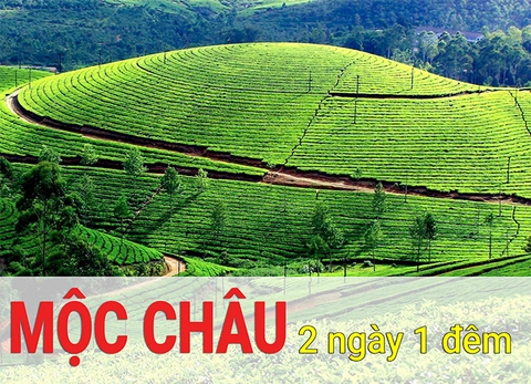 Tour Du Lịch Mộc Châu 2 Ngày 1 Đêm