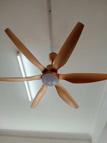 Quạt trần đèn 6 cánh 1072 Vàng (h/a)
