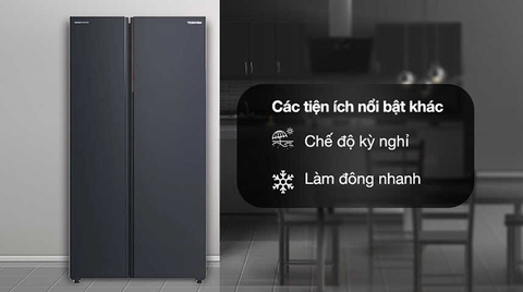 tủ lạnh toshiba RS910WI-PMV(06)-MG 2 cánh 711L