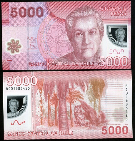 5000 pesos Chile 2013