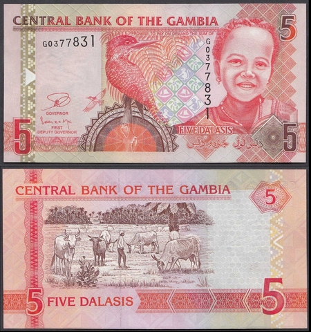 5 dalasis Gambia 2015