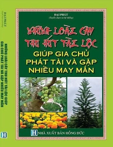 những loài cây thu hút tài lộc, giúp gia chủ phát tài và gặp nhiều may mắn
