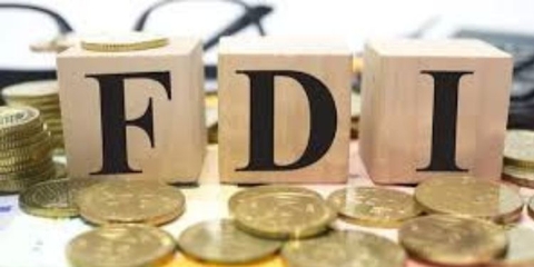 Hình thức đầu tư trực tiếp nước ngoài (FDI) vào Việt nam