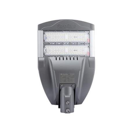 Đèn Đường Led 100W Rạng Đông CSD04