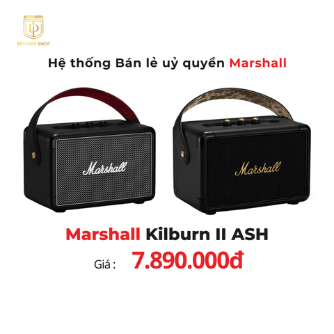 Marshall Kilburn 2 ASH