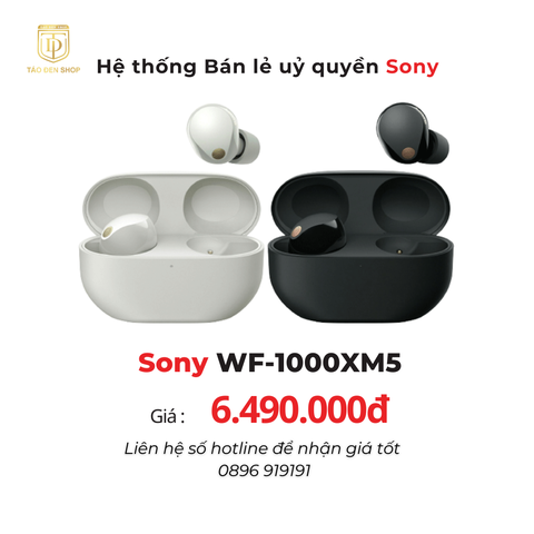 Tai nghe Sony WF-1000XM5 - Chính Hãng