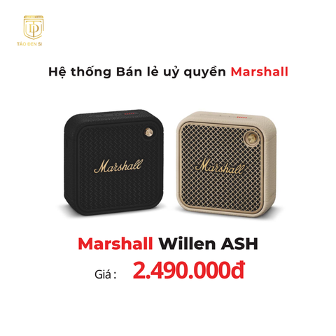 Marshall Willen ASH