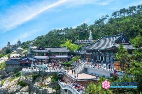 Tour du lịch Hàn Quốc 6 ngày 5 đêm hè 2026: Busan - Seoul - Nami bay Vietjet