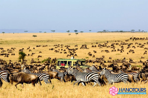 DU LỊCH NAM PHI 8 NGÀY 7 ĐÊM MÙA PHƯỢNG TÍM & DU THUYỀN XEM CÁ VOI