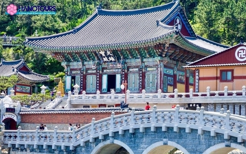 Tour du lịch Hàn Quốc 6 ngày 5 đêm hè 2026: Busan - Seoul - Nami
