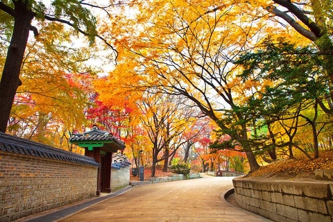 Tour Hàn Quốc mùa lá đỏ: Seoul - Nami - Jeju - Công viên Everland [Tháng 10/2016]