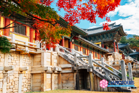 Tour du lịch Hàn Quốc 5 ngày 4 đêm Tết dương và âm lịch 2026: Seoul