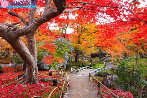 Du lịch Nhật Bản 6 ngày 5 đêm: Tokyo - Hakone - Phú Sĩ - Kyoto - Osaka - Koke